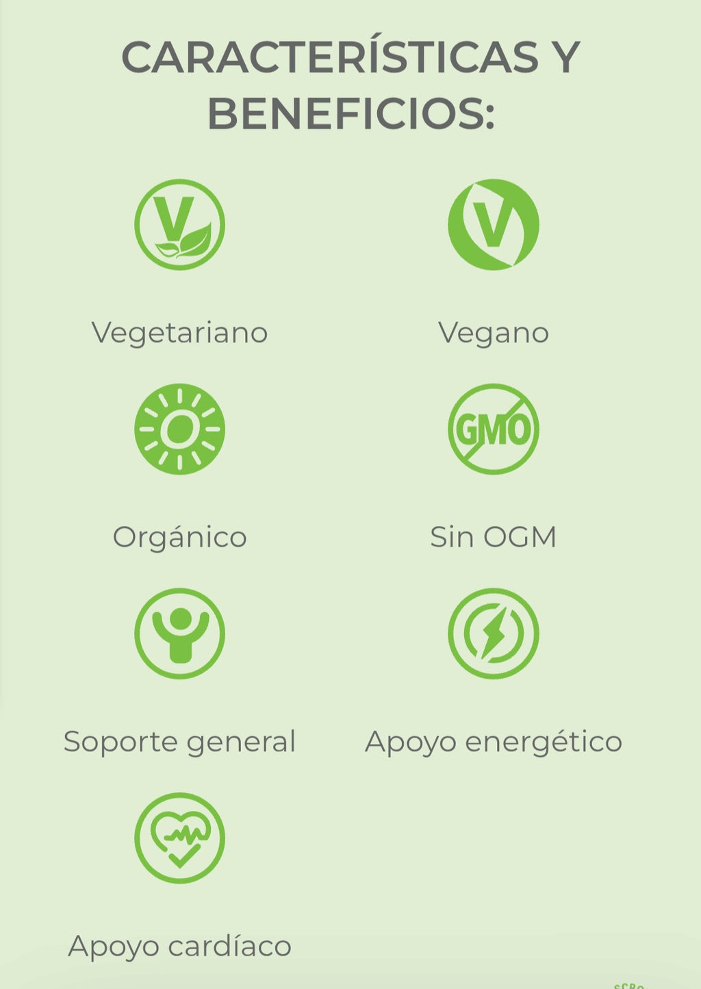 Polvo de remolacha orgánica
240g -